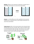 Diffusion Osmosis Turgor Notes