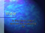 Water