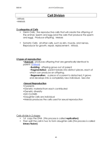 Cell Division - De Anza College