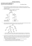 2008/2009 Exams(No solution)