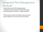 Summary of Diseases and Insects