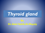 Thyroid gland