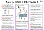 Inheritance Poster 1