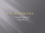 1 class The Human Cell