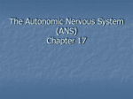 Autonomic Nervous System (ANS)