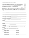 ANATOMICAL TERMINOLOGY: Directional Terms