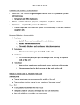 Cell Cycle