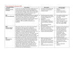 Brain Imaging Jigsaw KEY