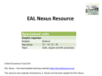 Graphic organiser