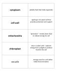 cytoplasm cell wall mitochondria chloroplast vacuole