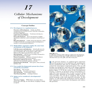 Chapter 17: Cellular Mechanisms of Development