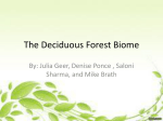 The Deciduous Forest Biome