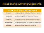 Interdependency (Symbiosis) Notes