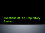 Respiratory System - Rowan County Schools