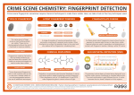 crime scene chemistry: fingerprint detection