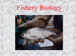 Fishery Biology