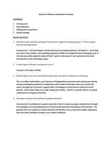 Section 6.6 Meiosis and Genetic Variation Vocabulary Crossing over