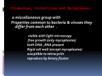 1:Gram-positive bacteria