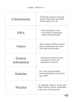 Chromosome DNA Genes Genetic information