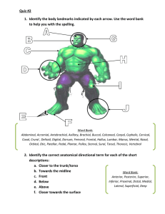 Quiz #2 Identify the body landmarks indicated by each arrow. Use