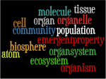 The Hierarchy of Biological Organization