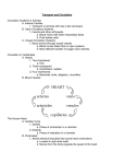 HEART arteries veins arterioles venules capillaries