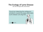 11 - Lyme Disease