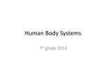 Human Body Systems