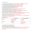 cell process study guide answers