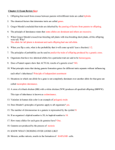 Chapter 11 Exam Review Key