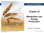 23.1 The Citric Acid Cycle