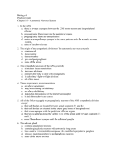 Biology 4 Practice Exam Chapter 16 – Autonomic Nervous System 1