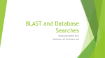 Blast and Database Searches