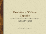 Evolution of Culture Capacity