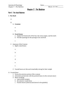 Chapter 7: The Skeleton - Blair Community Schools