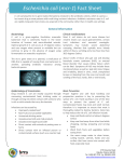 Escherichia coli (mcr-1) Fact Sheet