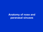 Anatomy of nose and paranasal sinuses