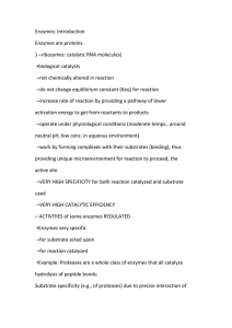 Enzymes: Introduction Enzymes are proteins. – (ribozymes: catalytic