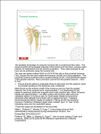 Proximal Humerus