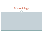 Microbiology