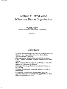 L11Nervous tissue strusture 11