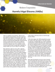 Harmful Algal Blooms (HABs)