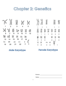 Chapter 2 Notes