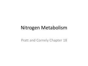 Amino Acid Catabolism - Chemistry Courses: About