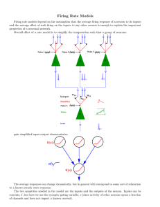 Firing Rate Models