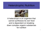 Heterotrophic Nutrition