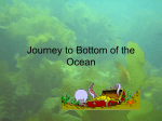 Ocean Landforms - Net Start Class