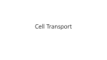 Cell Transport