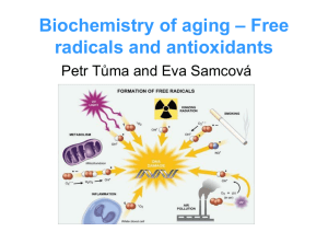 Zdroje volných radikál* ROS