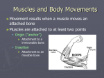 Body Movements